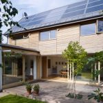 online profile photo