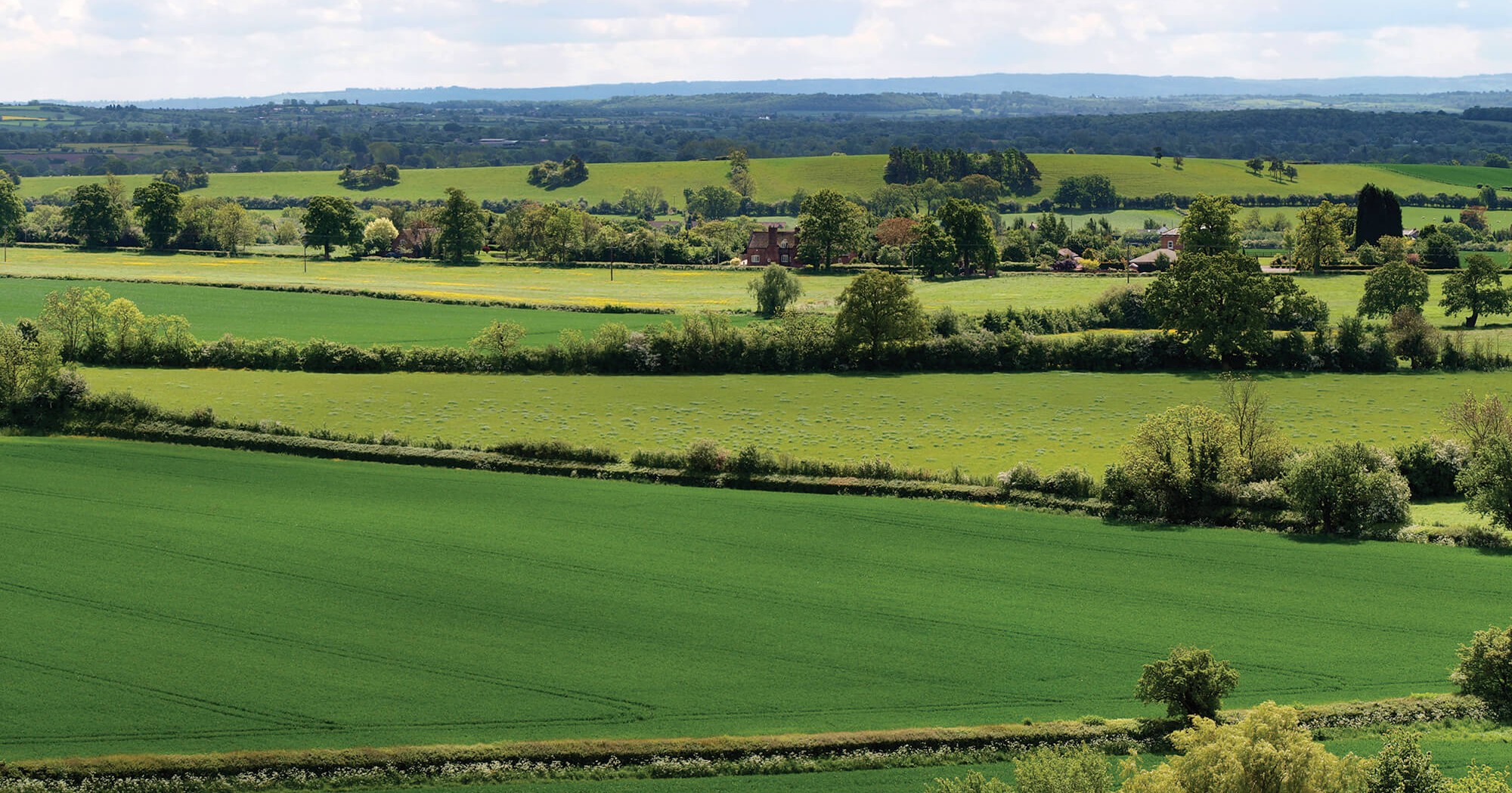 How to find land Build It Live 2024